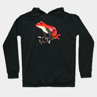 Frog Ribbit Hoodie